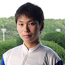 青海 大樹 写真