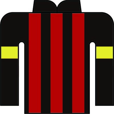 南郷 家全 写真