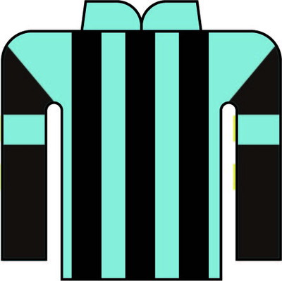 横井 将人 写真