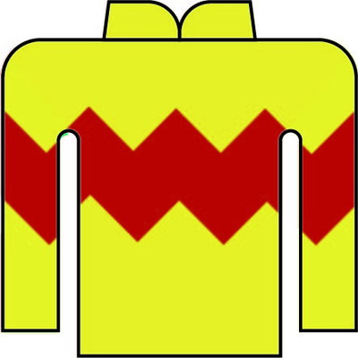 畑中 信司 写真