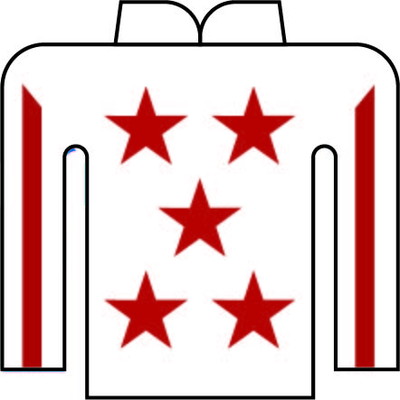 高野 誠毅 写真