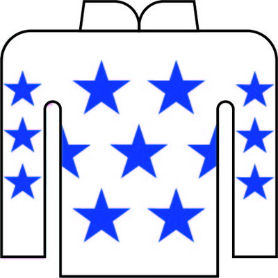 桑村 真明 写真