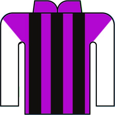 杉浦 健太 写真