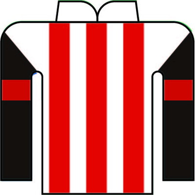 佐々木 志音 写真