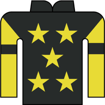 明星 晴大 写真