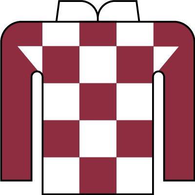 長谷川 蓮 写真